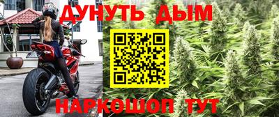винт Славгород