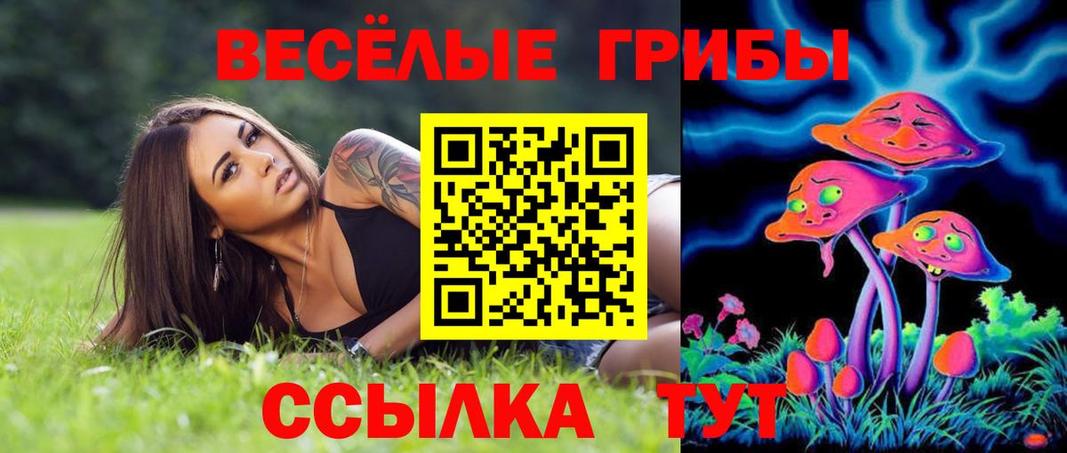 Псилоцибиновые грибы ЛСД Нижнеудинск