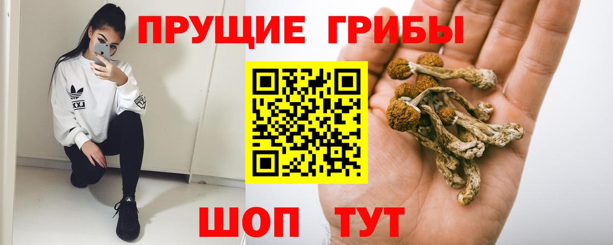 Галлюциногенные грибы MAGIC MUSHROOMS  Вход с VPN  Нижнеудинск 